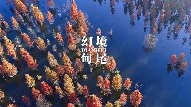 猪肉在冷冻状态下最多可以保存多长时间游戏画面