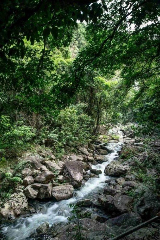 沪江开心词场
