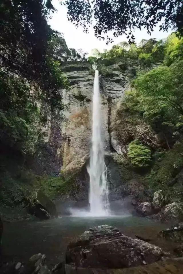 冲上热搜,“龙头”被约谈!发生了什么?