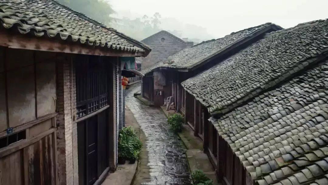 命运之手2